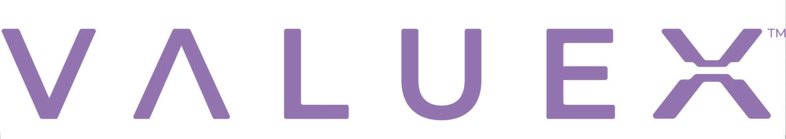 ValueX logo